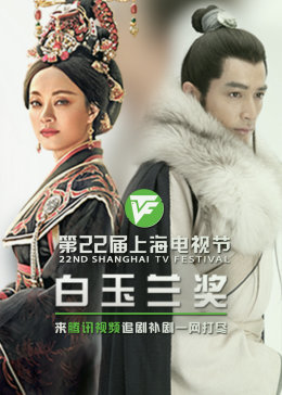 文化差异海报剧照