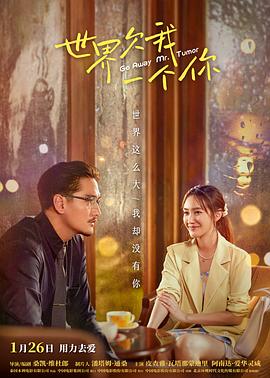 和荷兰熟女视频海报剧照